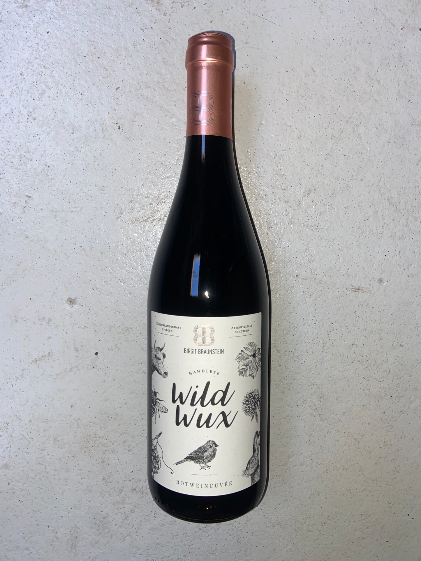 Birgit Braunstein, Wild Wux