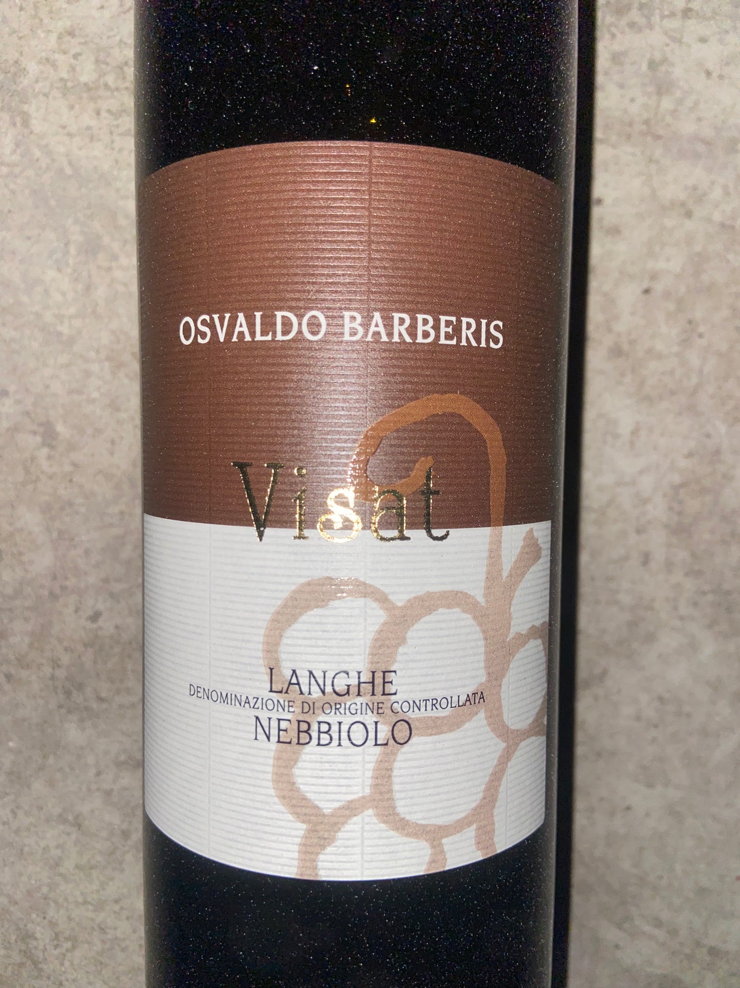 Osvaldo Barberis, Visat