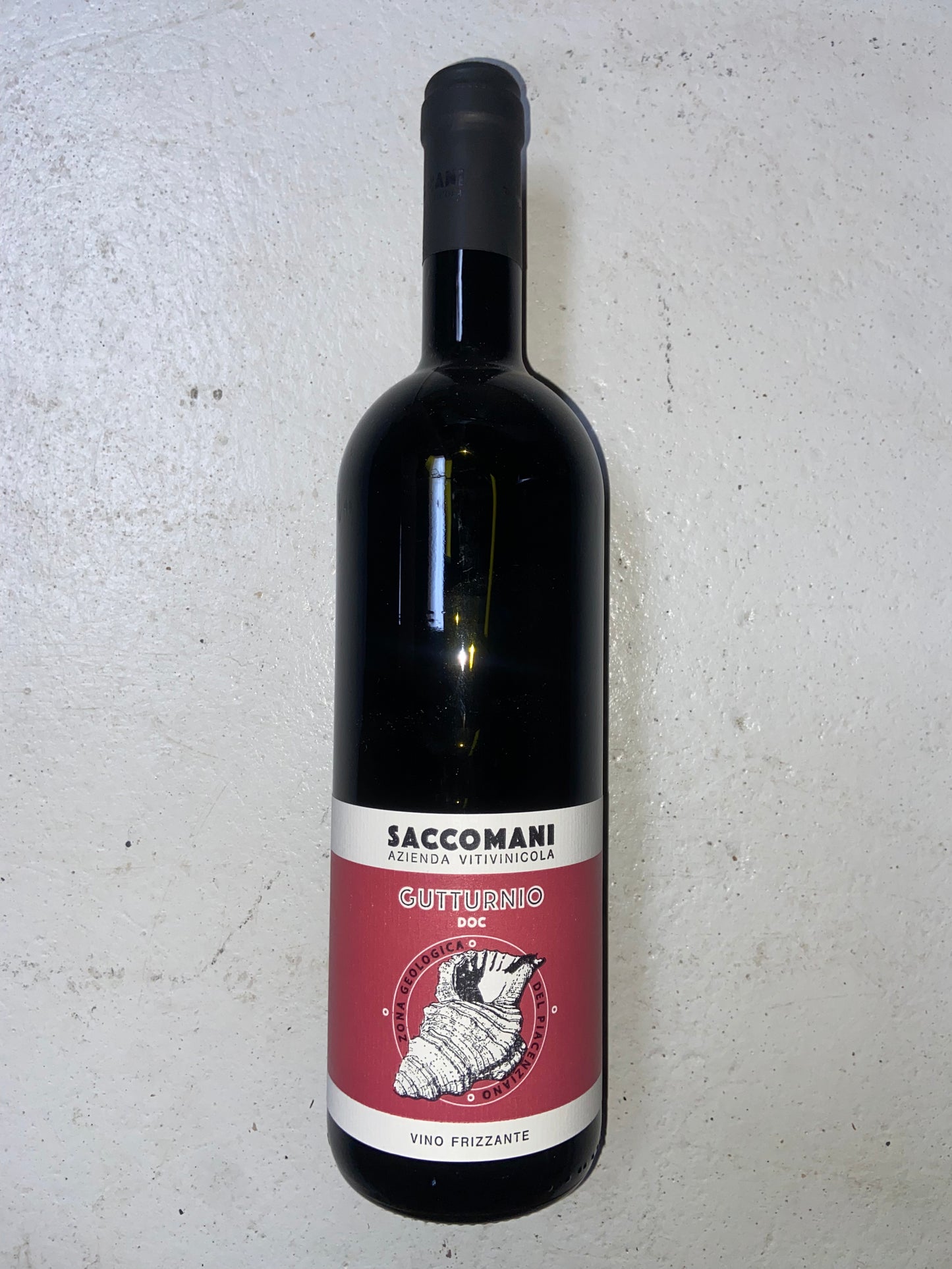 Saccomani Gutturnio - Vinskabt
