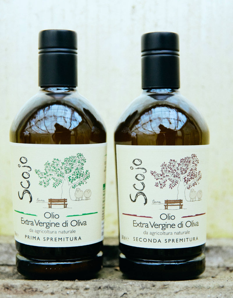 Terre di Pietra, Scojo olivenolie PRIMA spremitura