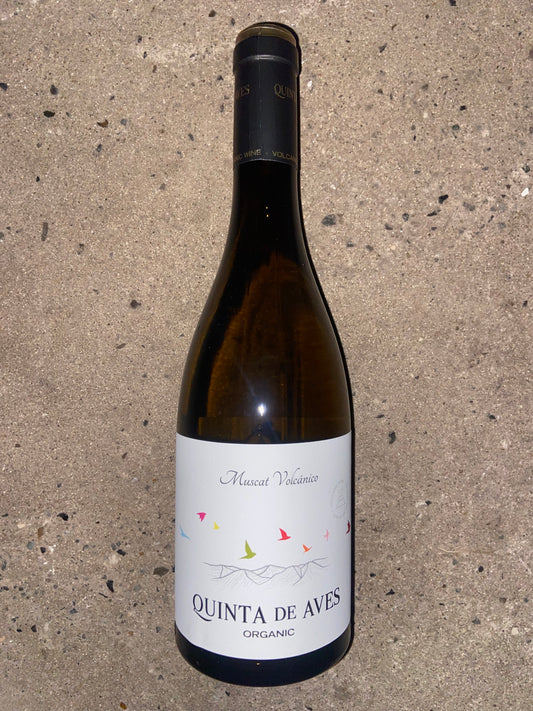 Quinta de Aves, Muscat Volcánico