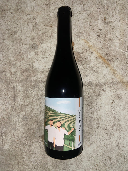 Zavec, Pinot Gris 2023