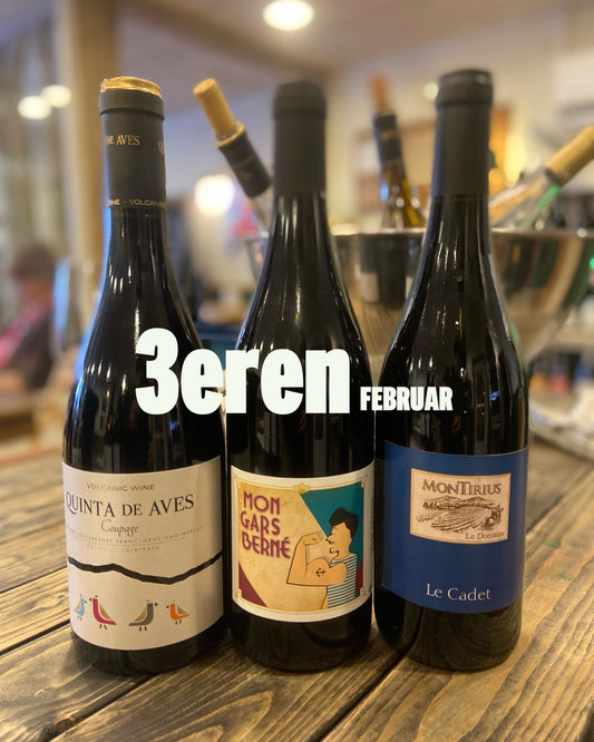 3EREN - FEBRUAR